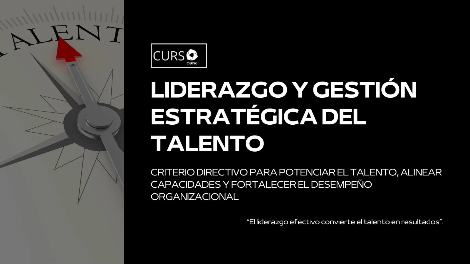 Protegido: Liderazgo y Gestión del Talento